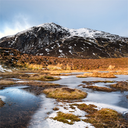 The Green Park Hotel