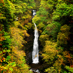 The Green Park Hotel